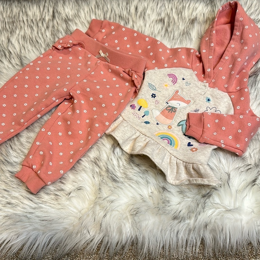 Girls 12M Fox and Owl Pink Flowered Two Piece Set. Fleece Lined, Hooded Ruffle